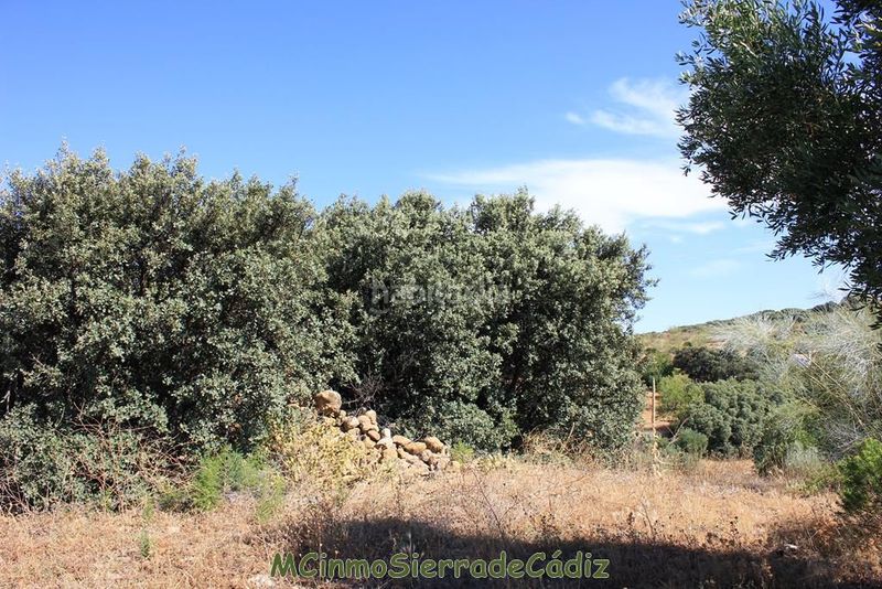 Foto 78a38403-16ca-4d2e-8c53-7661ab7e8e24. Masia a Montecorto
