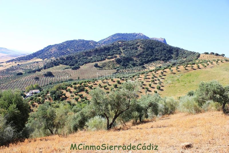 Foto 8a03e2af-5ba2-41d2-94e0-1079b2dfb316. Masia a Montecorto