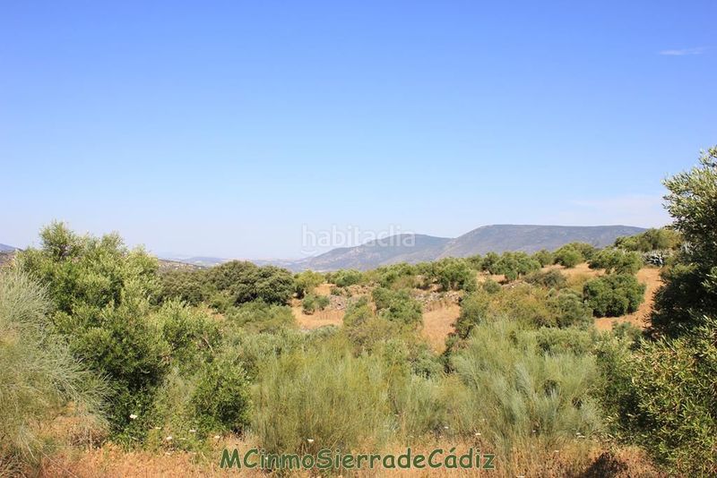 Foto 9a0a7d16-1917-4644-8c20-762c9f7f8f5b. Masia a Montecorto
