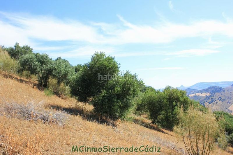 Foto abc97b5b-a06b-492d-8356-c7222ab8e1ab. Masia a Montecorto
