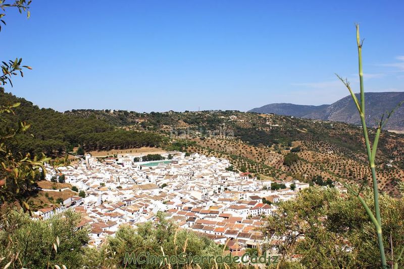 Foto b6b8b9e7-94e5-4d7c-9016-c4da245d5f04. Masia a Montecorto