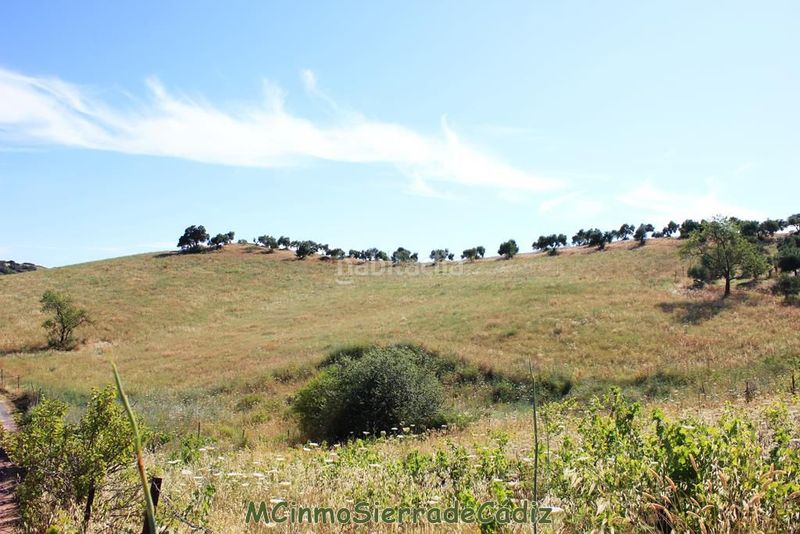 Foto b6f9eae1-d557-4cd5-8fd4-99e89aee1766. Masia a Montecorto