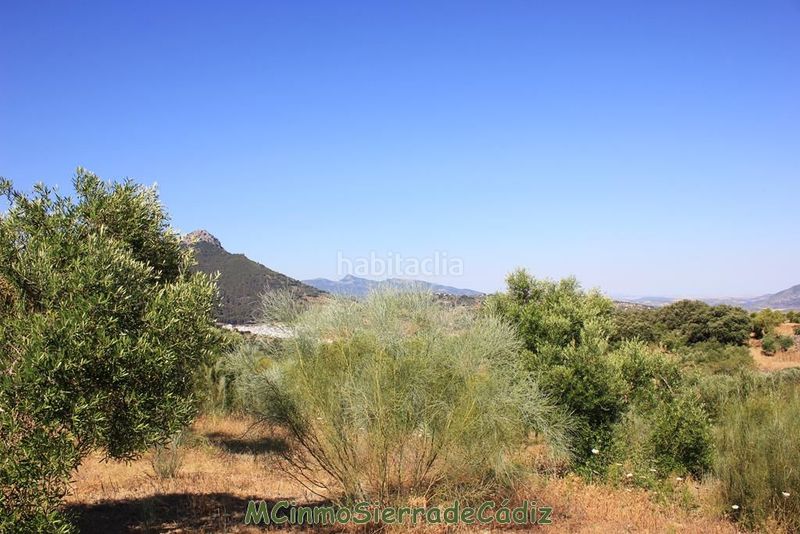 Foto c68413dd-6995-4b20-8eb6-2d264e6930ba. Masia a Montecorto