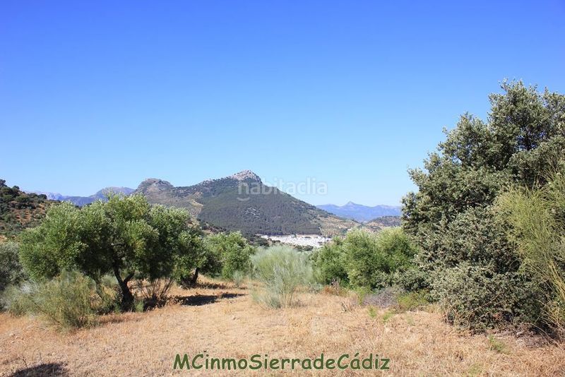 Foto e43026f6-fbcb-4c1d-8bbc-24355b0eaf5d. Masia a Montecorto