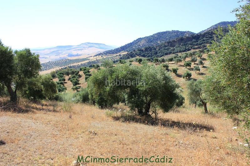Foto e569730e-aac8-47fb-97f6-bf7ec8fe705b. Masia a Montecorto