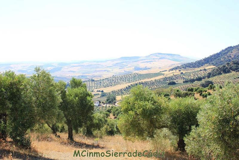 Foto f20f1de7-9e83-4e56-b79a-4870ae4f9b2f. Masia a Montecorto