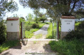 Masia a Castillejo alto. Finca rúst. en venta en algodonales, 4 dormitorios.