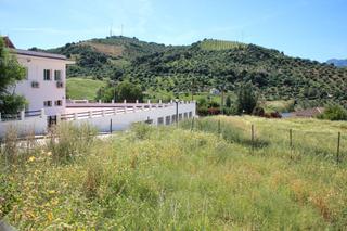 Terreny residencial a Algodonales. Solar en venta en algodonales.