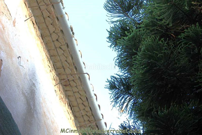 Foto 78b688a5-dcd7-49a7-8325-72d23572105c. Casa amb calefacció a Algodonales