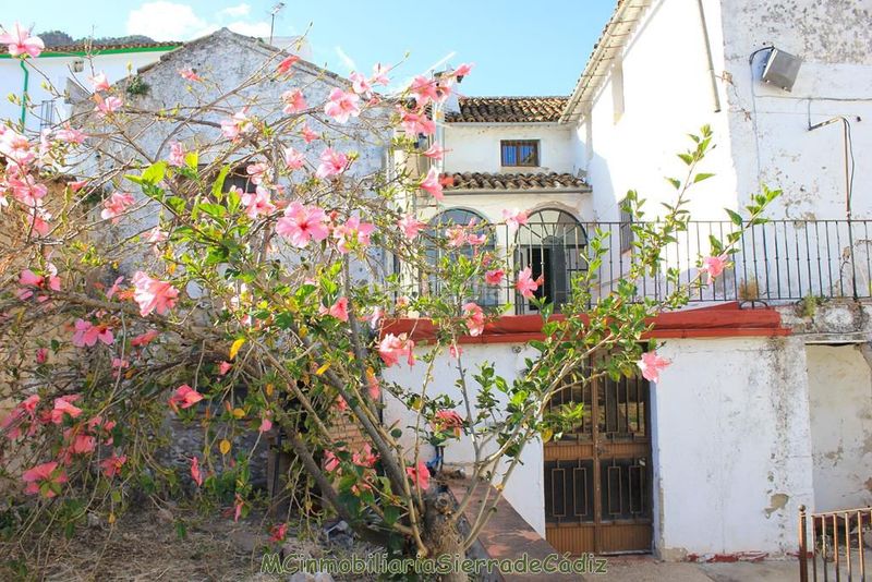 Foto d6db503f-7c35-47a9-aea4-28bd1102e7ee. Casa amb calefacció a Algodonales