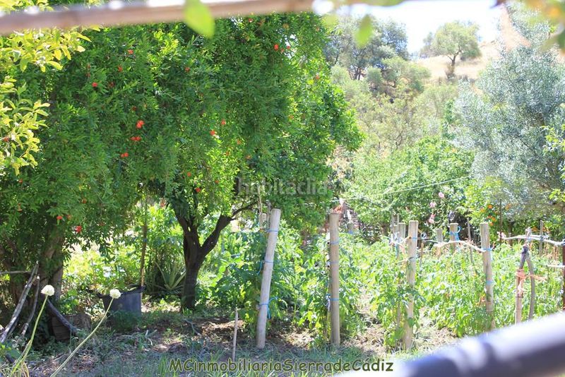 Foto e4fc8d45-10e1-4c39-8b3a-b29754b34fb9. Masia amb aparcament piscina a Gastor (El)
