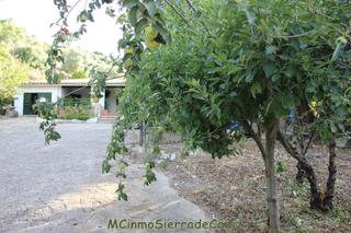 Masia a Zahara. Casa de campo en venta en arroyomolinos, 4 dormitorios.