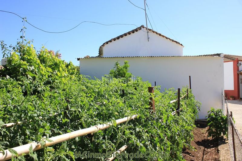 Foto 0c952e0a-d73a-459e-887f-691bbd590556. Casa amb aparcament a Algodonales