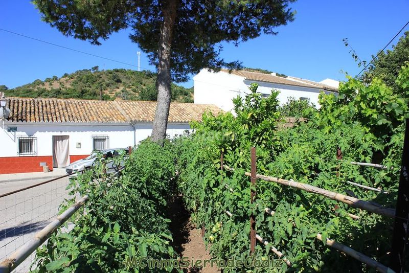 Foto 12030d87-9645-40ec-a826-59b4cbf99b57. Casa amb aparcament a Algodonales