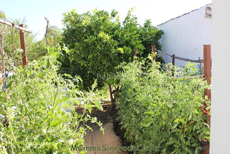 Foto 6d7f52eb-36da-488b-a320-2d53f3cb6b4a. Casa amb aparcament a Algodonales