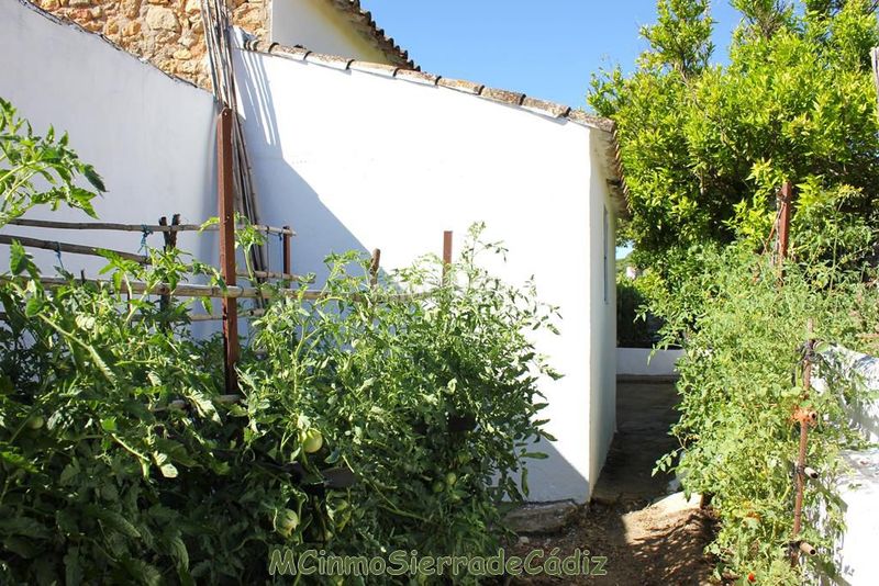 Foto 867c3a50-cf3c-4f69-a898-a05ce67ad16f. Casa amb aparcament a Algodonales