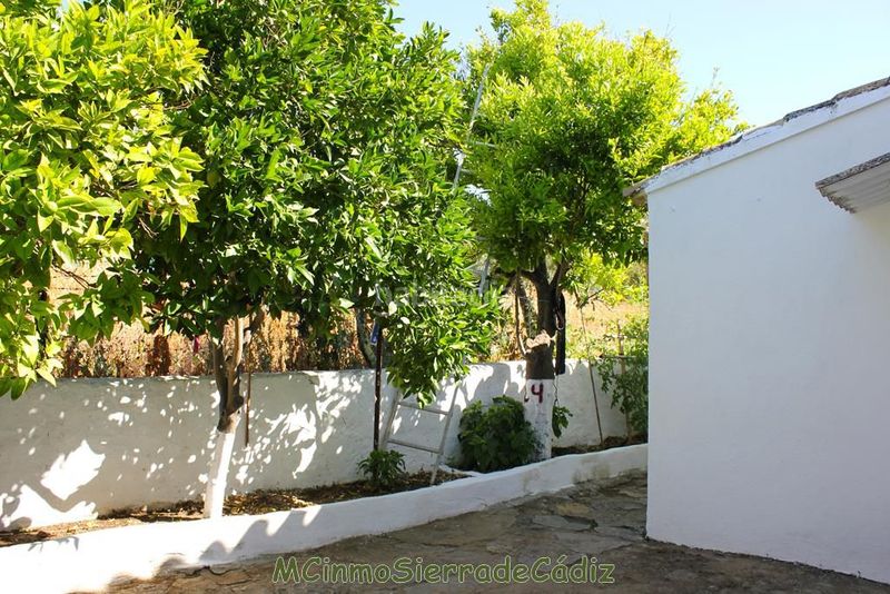 Foto 98c7e154-bc9c-4616-9ca9-aa4d8f8fc55e. Casa amb aparcament a Algodonales