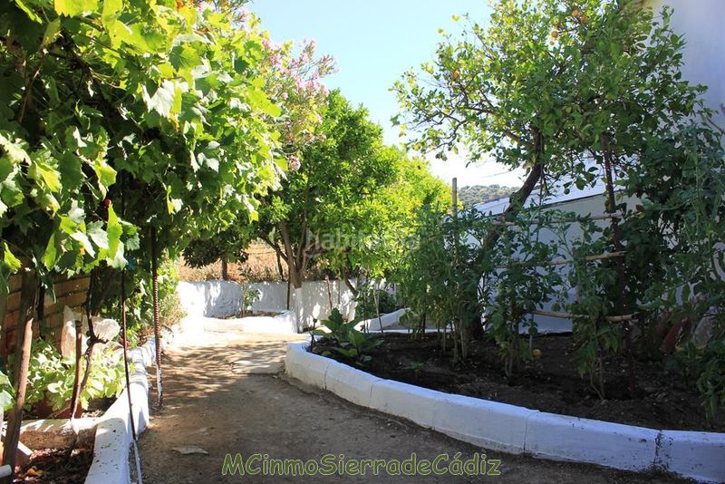 Foto ae872aa7-9302-42de-a8e4-39bb5450fdc9. Casa amb aparcament a Algodonales