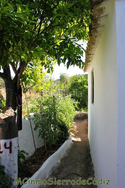 Foto ef744898-a1a5-4fd2-b560-ca691c59bd6f. Casa amb aparcament a Algodonales
