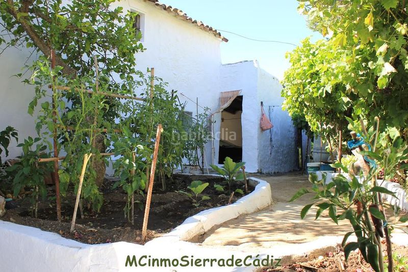 Foto f2c5deaa-8c61-4e4f-a1f3-7daeca7a75b7. Casa amb aparcament a Algodonales