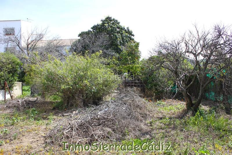 Foto 2ef8d334-cd3b-41b5-b670-39811b87e393. Terreny residencial a andalucia a Torre Alháquime