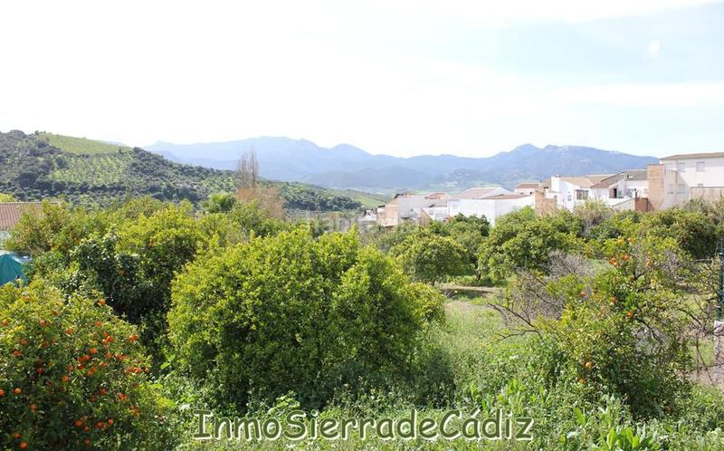 Foto 4c90c31f-52ec-4045-bdfa-3eb3b01e0420. Terreny residencial a andalucia a Torre Alháquime