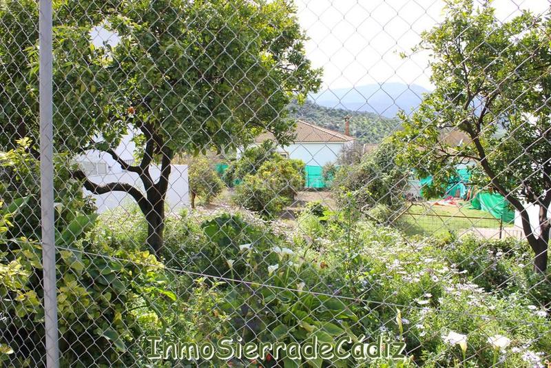 Foto 5f5069db-a211-4e69-a053-d0d9d7b9e840. Terreny residencial a andalucia a Torre Alháquime