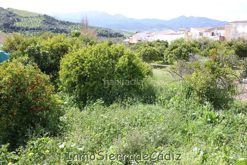 Foto 693572fe-b8a7-4980-8db4-0eeff4e6a0d1. Terreny residencial a andalucia a Torre Alháquime