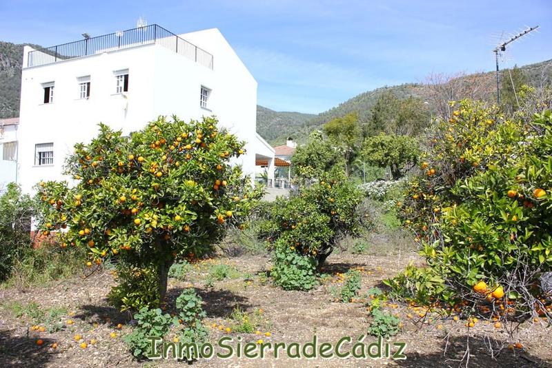 Foto 85e8a8e8-7a10-45d1-b468-ed1baa31c49f. Terreny residencial a andalucia a Torre Alháquime