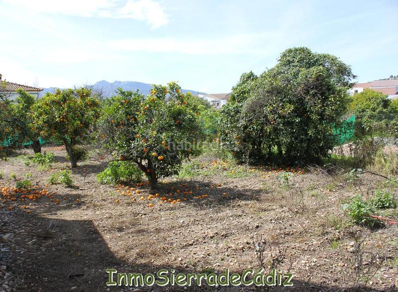 Foto 87e0137c-613a-4070-9cb5-64a18f1f2ee1. Terreny residencial a andalucia a Torre Alháquime