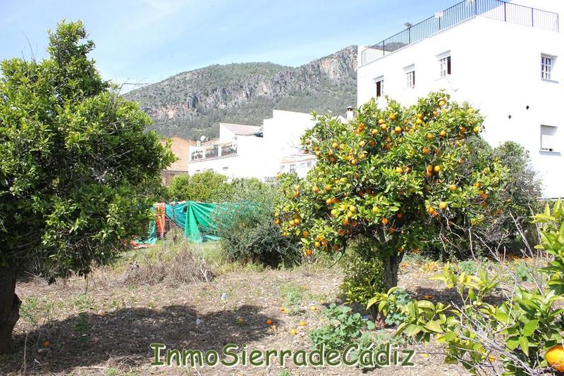 Foto 92cbe5d9-7417-459d-b8c6-9dc43cdd0a9f. Terreny residencial a andalucia a Torre Alháquime