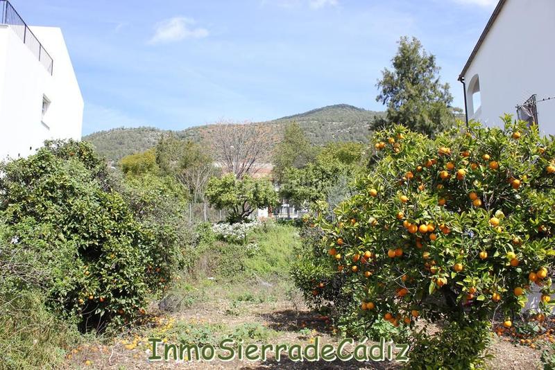 Foto 96b610aa-dec4-4e33-8b40-237953cfa1af. Terreny residencial a andalucia a Torre Alháquime