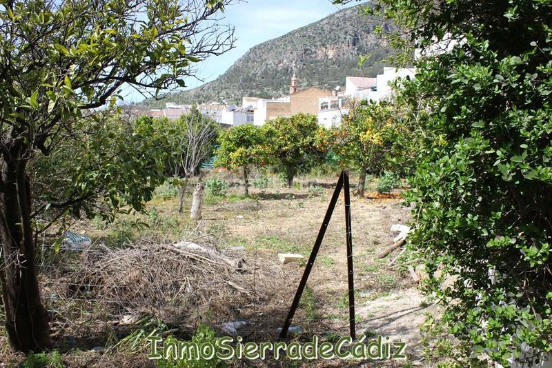 Foto b5a1aeee-42c8-4403-abec-c937965402d9. Terreny residencial a andalucia a Torre Alháquime