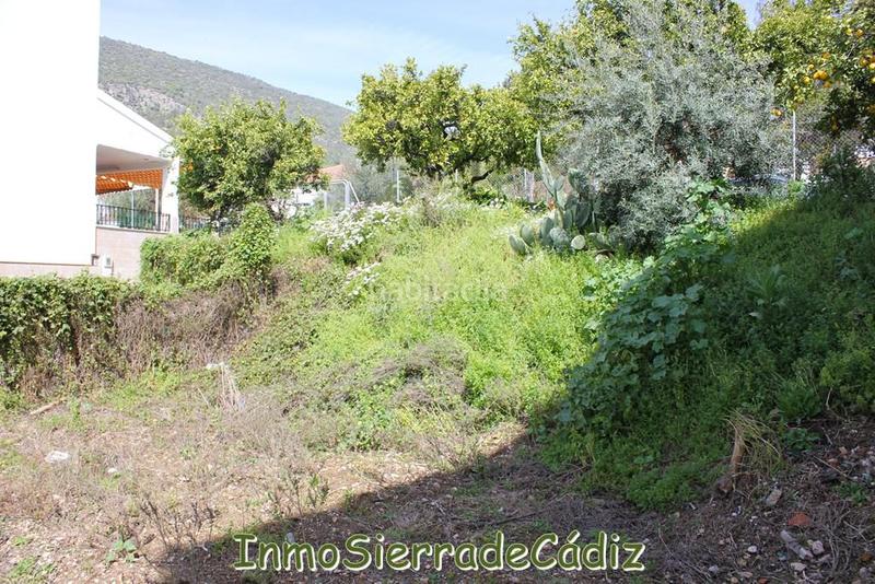 Foto d3aa34b1-8eda-4e64-b7f3-5ef420665ecf. Terreny residencial a andalucia a Torre Alháquime