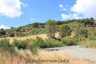 Casale  Pistachal majadahonda. Finca rúst. en venta en campo huerta.