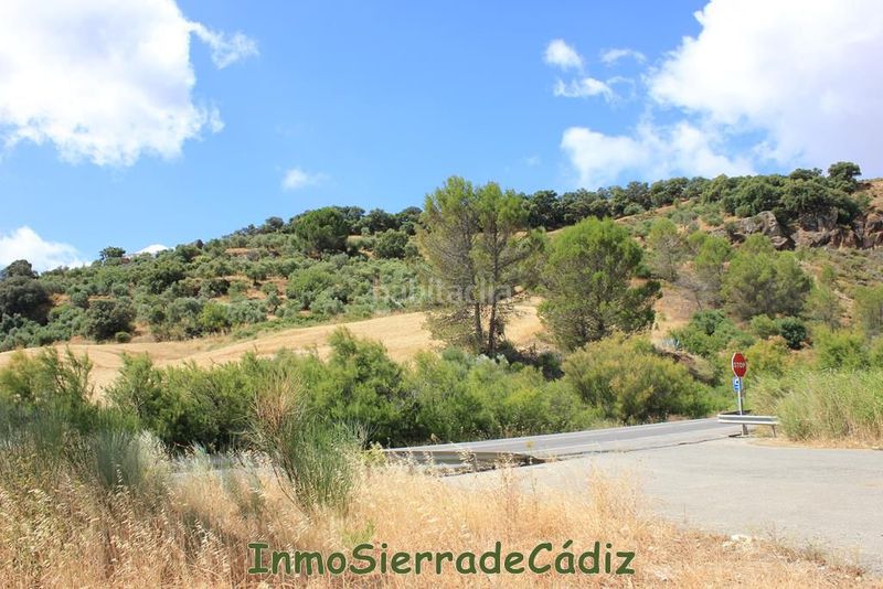 Foto 02beae7b-15a4-47c9-8ae0-dd33e0088db9. Masia a Algodonales