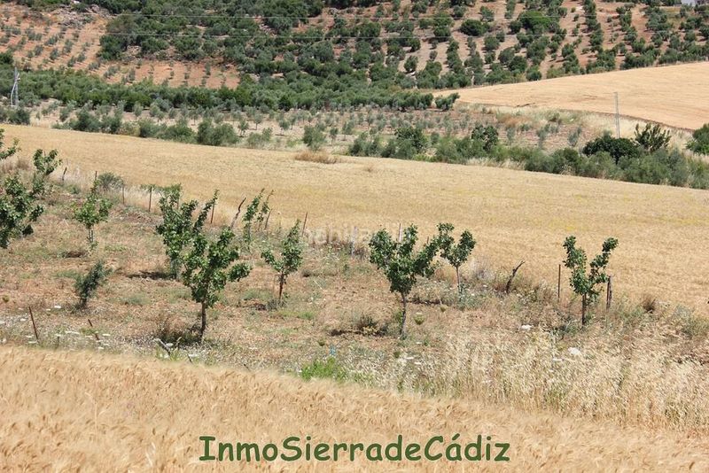 Foto 5aa1c646-7a17-4789-84ba-4010f1c3293c. Masia a Algodonales