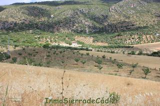 Masia a Algodonales. Finca rúst. en venta en campo huerta.