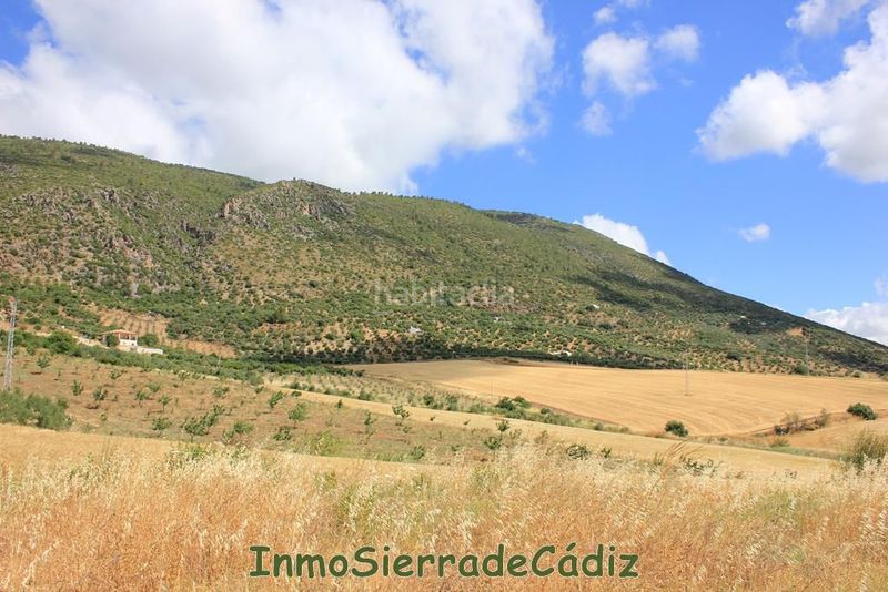 Foto 630cfbea-9f42-40f0-8dfc-24a67f390fe7. Masia a Algodonales