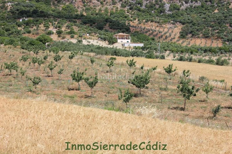 Foto 7f8c98b7-5bcd-4456-9afe-4036eee8ca1e. Masia a Algodonales