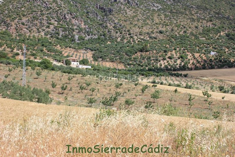 Foto 95e9e998-cb25-4f38-b2dc-ed0087d5c4ef. Masia a Algodonales