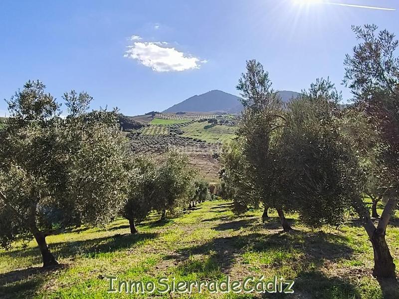 Foto 104a3f09-d741-4414-8ed9-e2de810e3ded. Mas dans n/a dans Partidas Norte Ronda