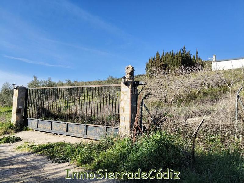 Foto 74f8ca36-20ef-4cb2-9ee3-59e5df16cc0a. Mas dans n/a dans Partidas Norte Ronda