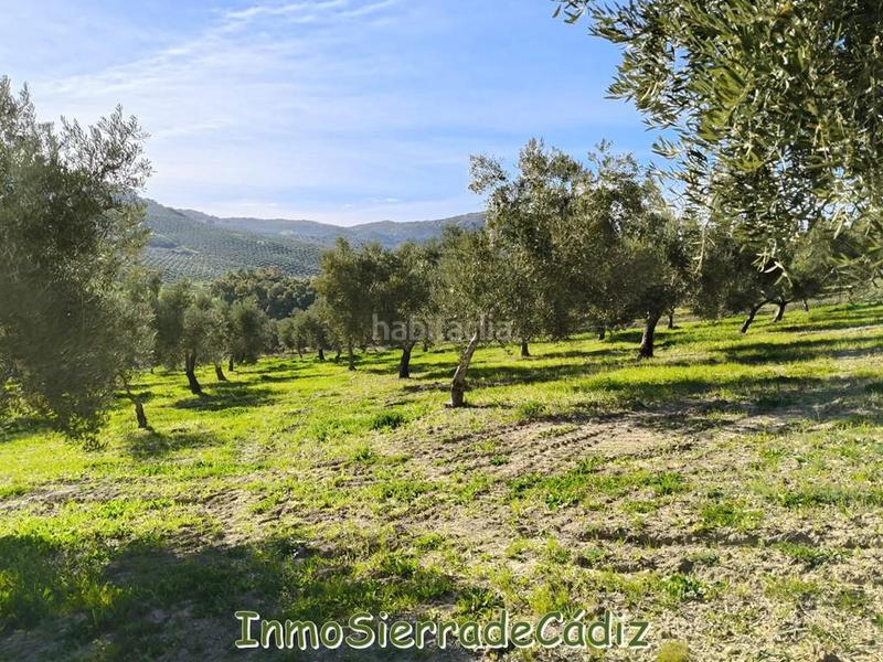 Foto 79d301db-ce3d-4c44-858b-1354cde4625e. Mas dans n/a dans Partidas Norte Ronda