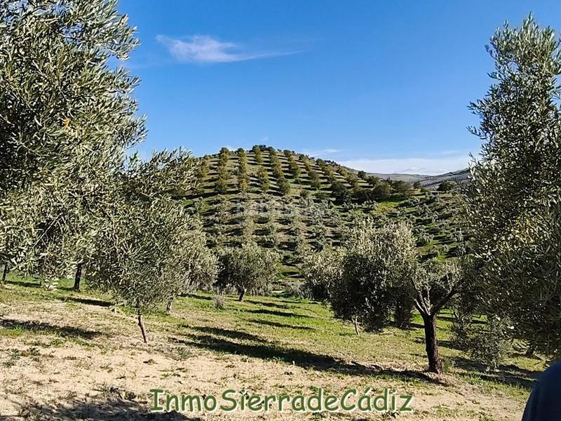 Foto a6401d57-452e-46e3-b8e8-9953a57349c3. Mas dans n/a dans Partidas Norte Ronda