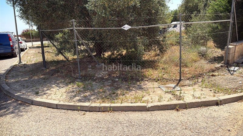 Foto 4376568f-a1e8-4eec-b9e3-797d9c43a5d7. Terreny residencial a Picassent