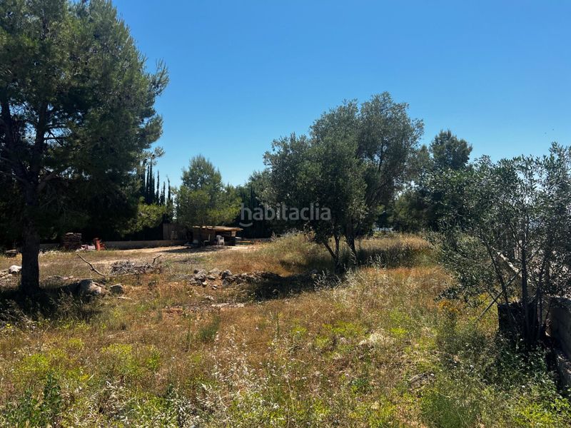 Foto f3b3b692-b5c9-4c23-9ac9-c49651bab4ef. Finca rústica a Picassent