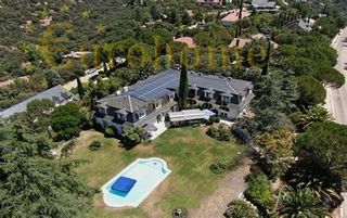 Transfer Business premise in Colonia. Torrelodoneslocal