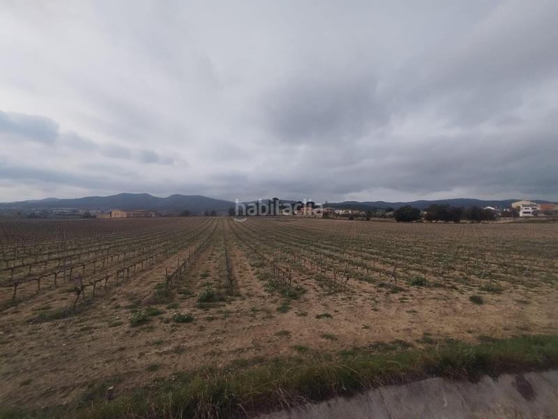 Foto 04bd3588-9590-4af2-bc35-126d3334b9a9. Wohngrundstück in Banyeres del Penedès