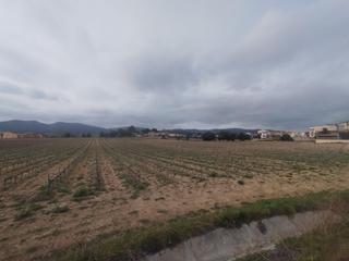 Terreno residencial en Banyeres del Penedès. Parcela edificable en banyeres del penedès